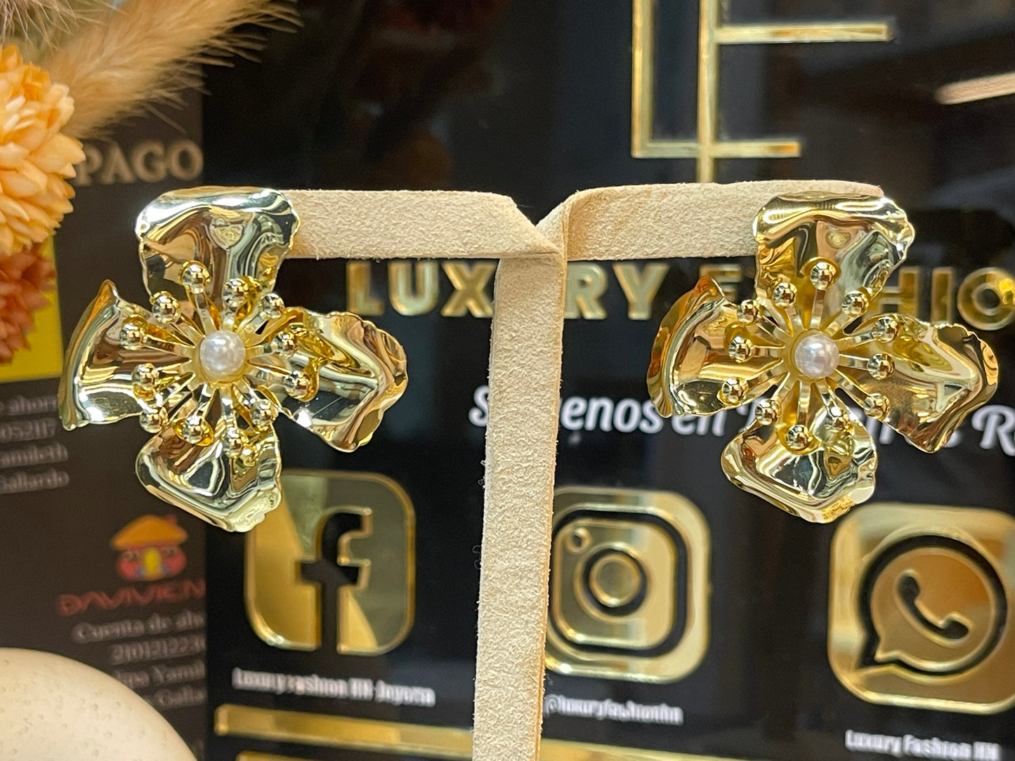 Aretes Luxury Fashion